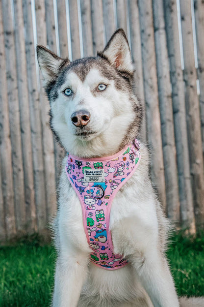 Hello Kitty® & Friends Flower Festival Dog Adjustable Harness