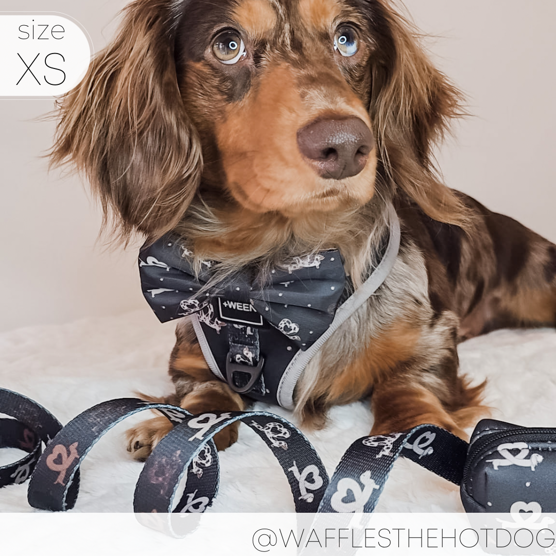 Adjustable Dog Harness - I Heart Dachshunds