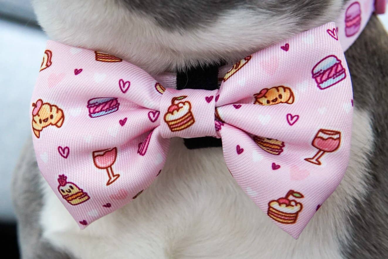 Pajarita para perro de pastelería