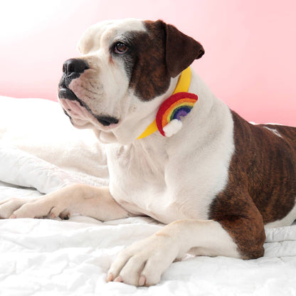 Rainbow Dog Collar Accessory - Bold