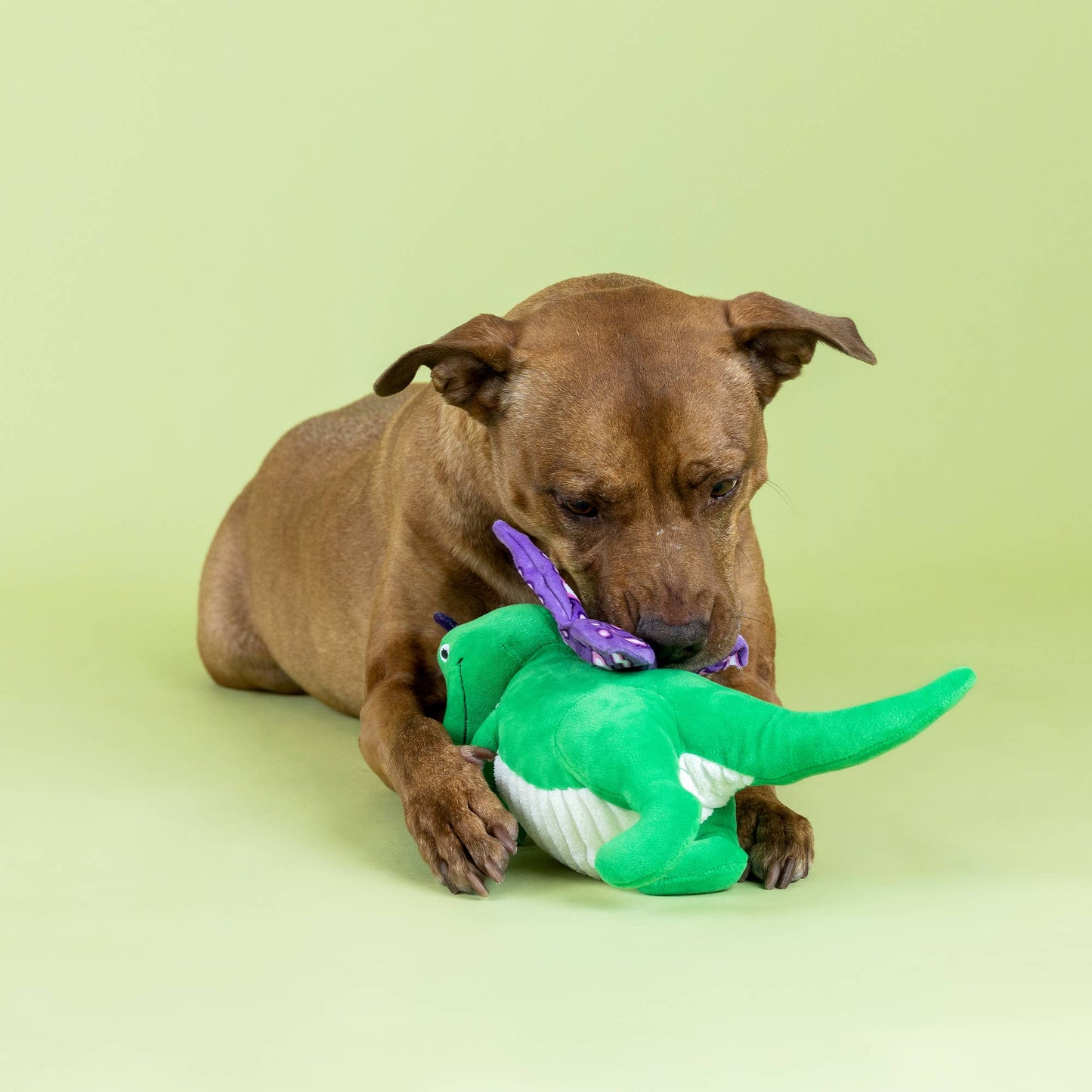 Flutter Rex Plush - Plush Dog Toy