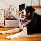 Regent Plaid Flannel Holiday Dog Bandana