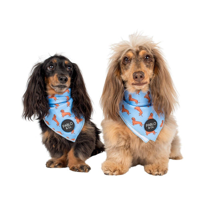 Dachshund Dog Bandana