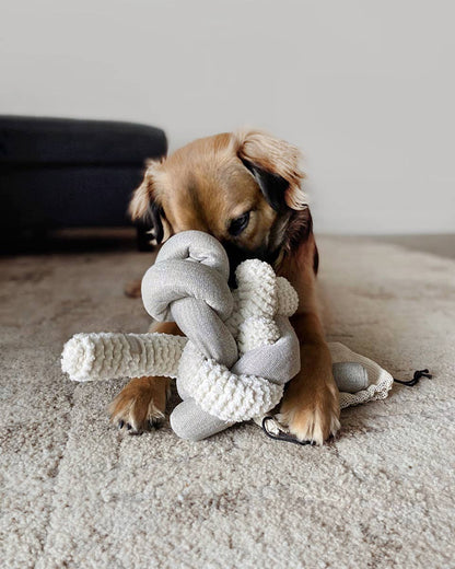 Nou Enrichement Dog Toy