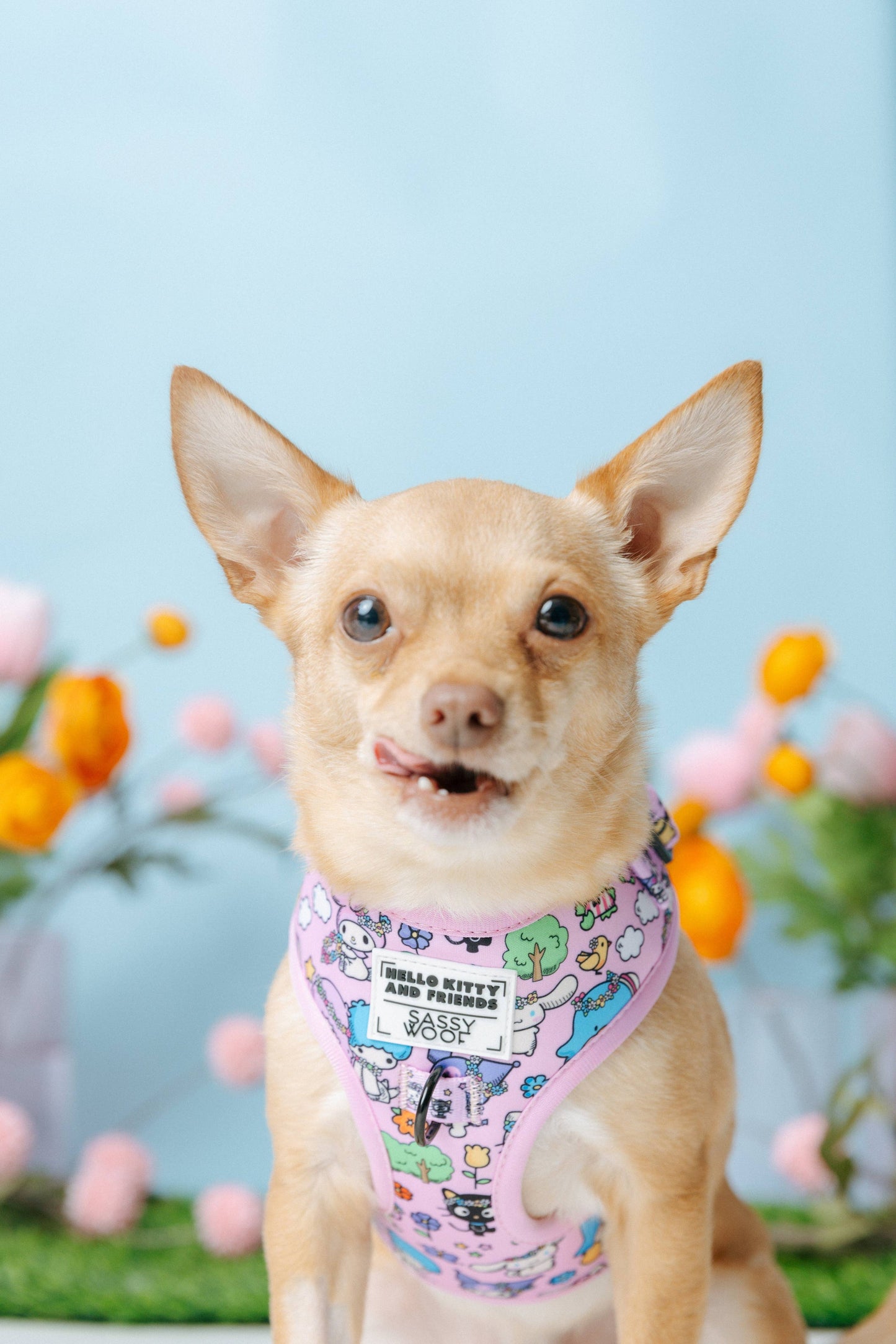 Hello Kitty® & Friends Flower Festival Dog Adjustable Harness
