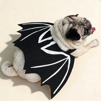 Bat Dog Costume