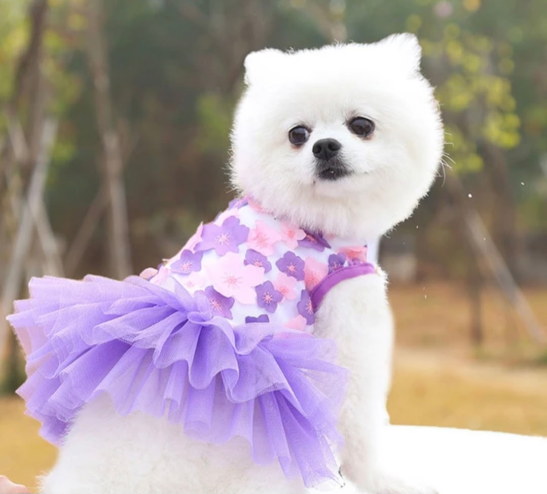 Flower Tutu Dog Dress