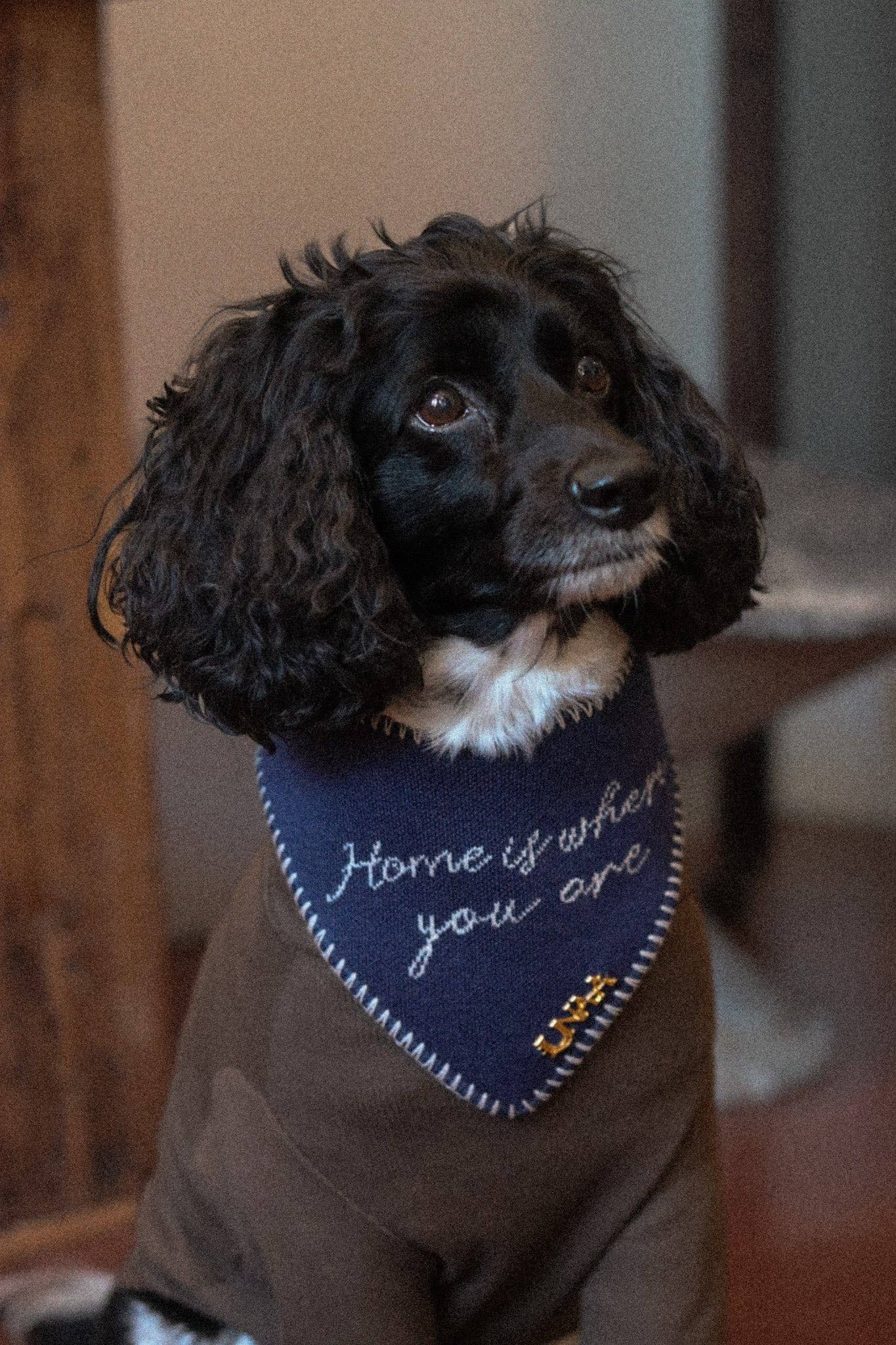 Home Is Where You Are Knit Bandana