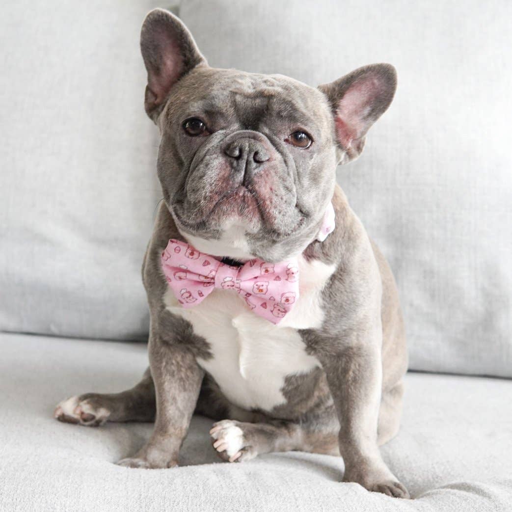 Piggin' Out Dog Bow Tie