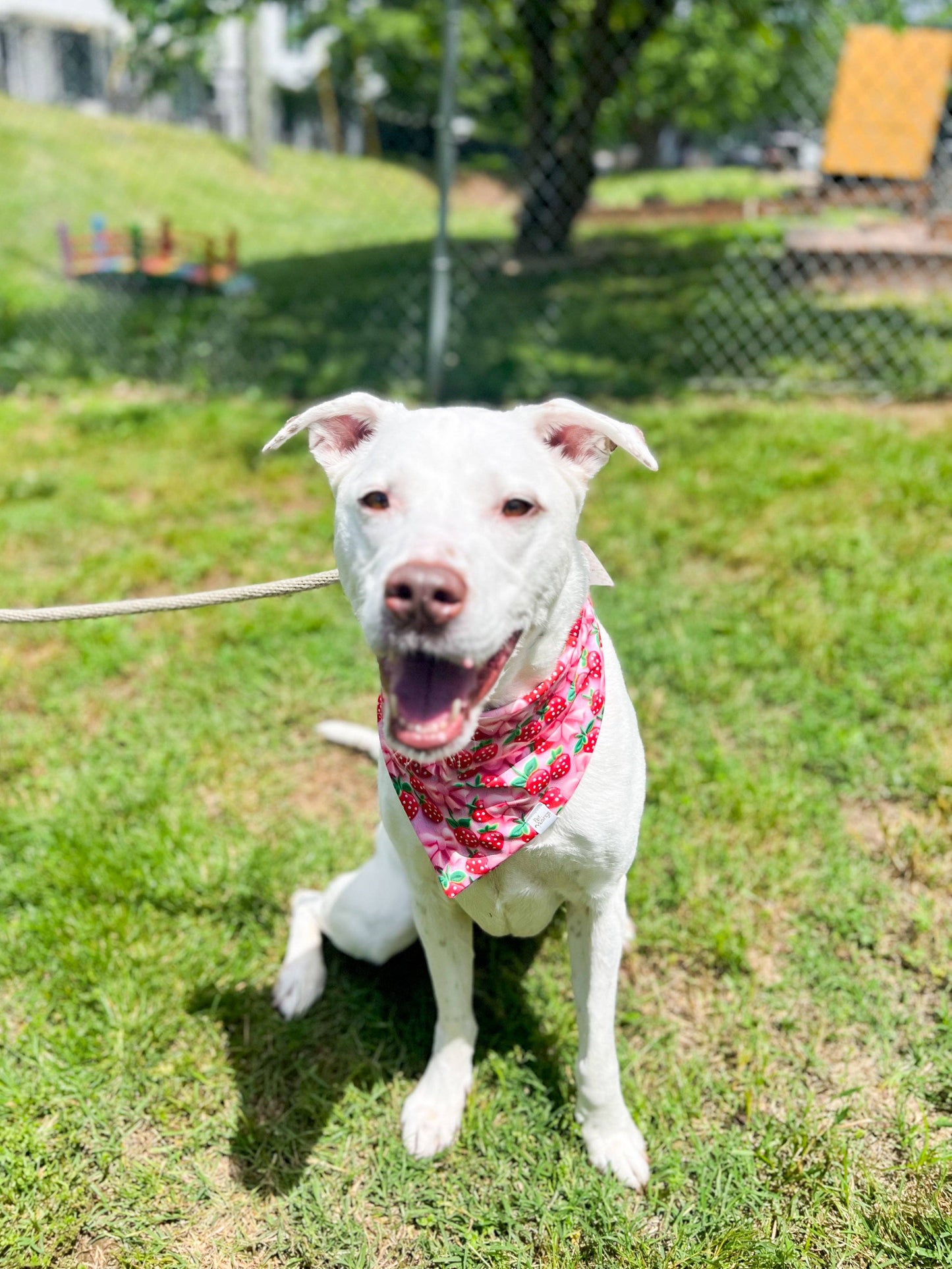 Strawberry Wrinkle Resistant Bandana