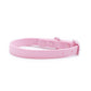 Frenchie Waterproof Collar - Pink Bubble Gum