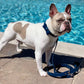 Signature Dog Collar & Leash Set - Navy