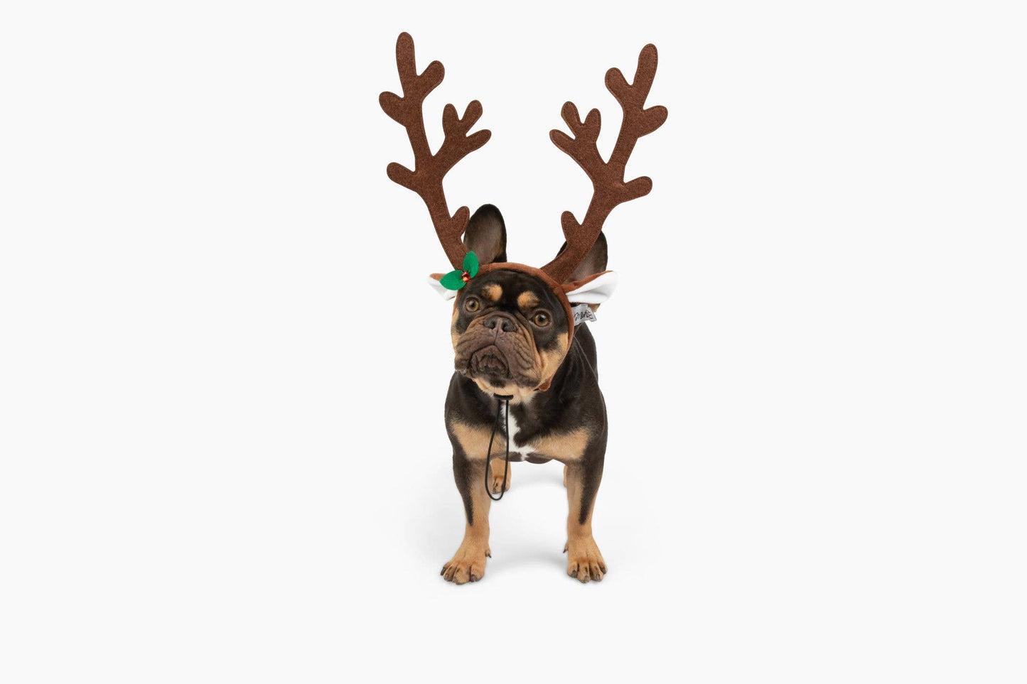 Brown Reindeer Dog Antlers Headband
