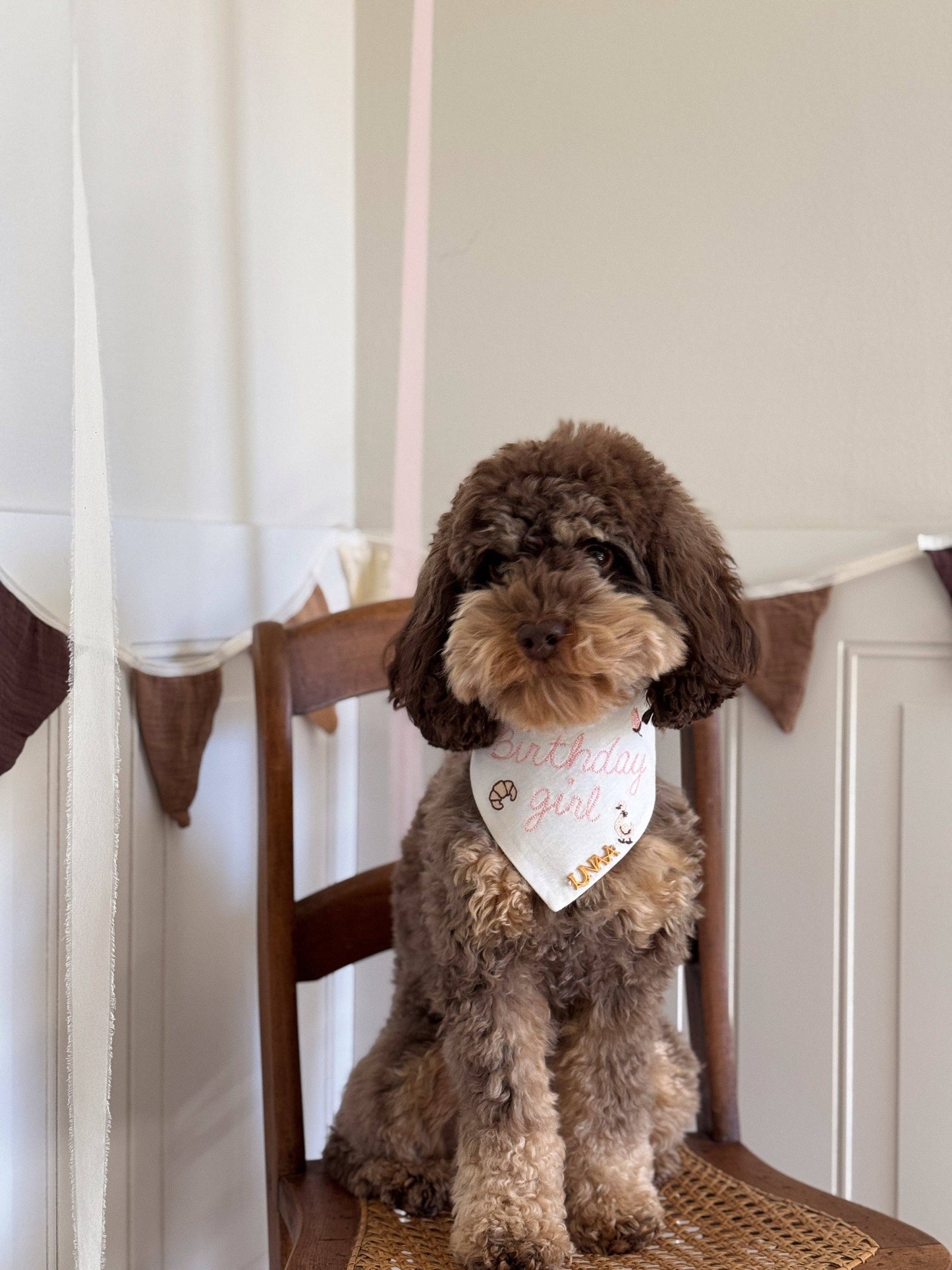 Birthday Girl Dog Bandana