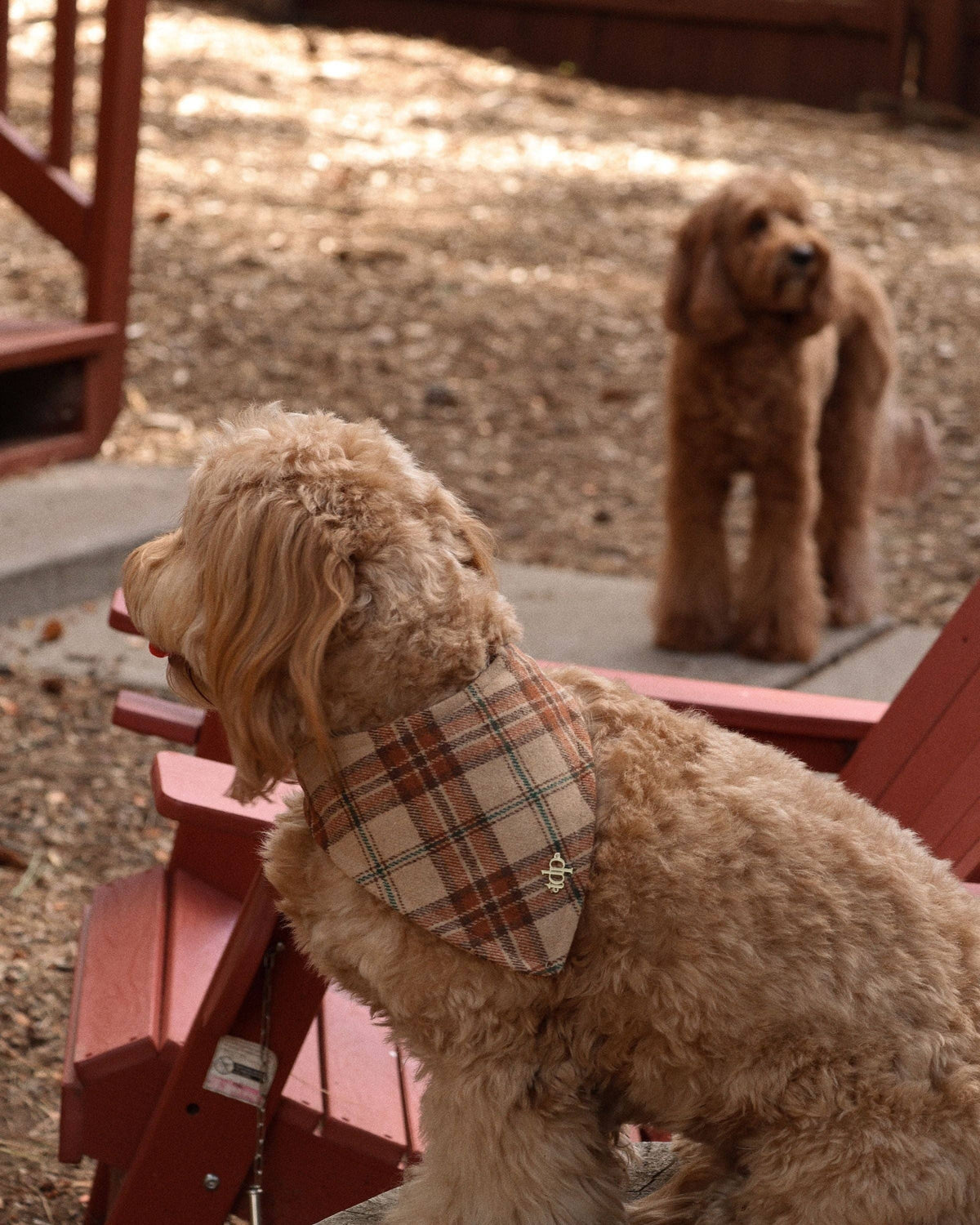 Cabin Plaid Bandana