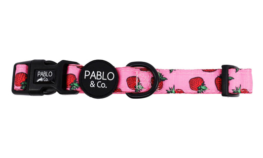 Strawberries: Collar: XS