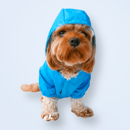 Chubasquero reversible para perros Showers