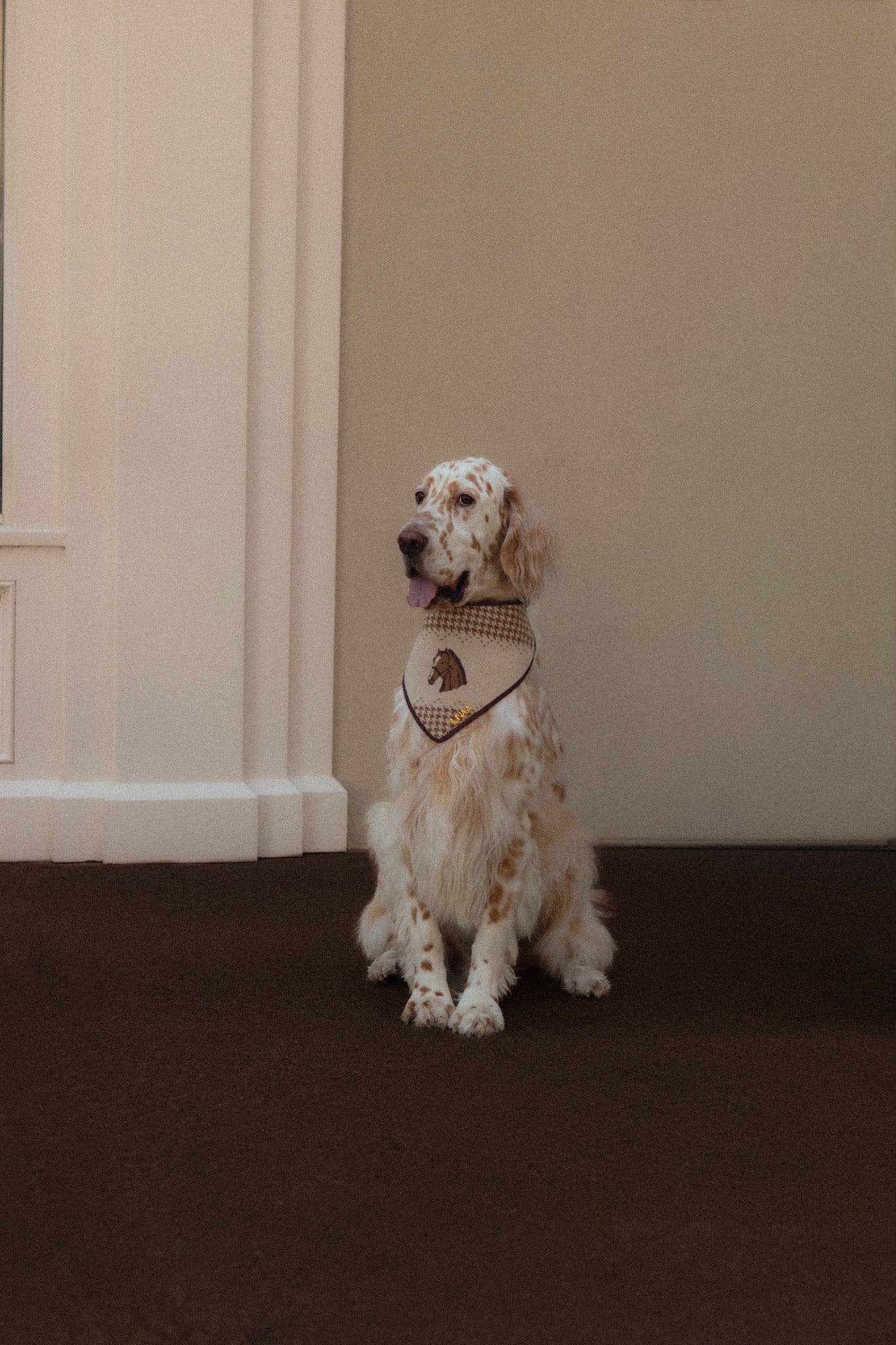 Sterling Equestrian Knit Bandana