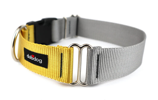 Dijon and Silver Collar