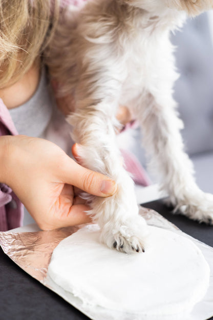 Pawprints Keepsake Hanging Holiday Ornament