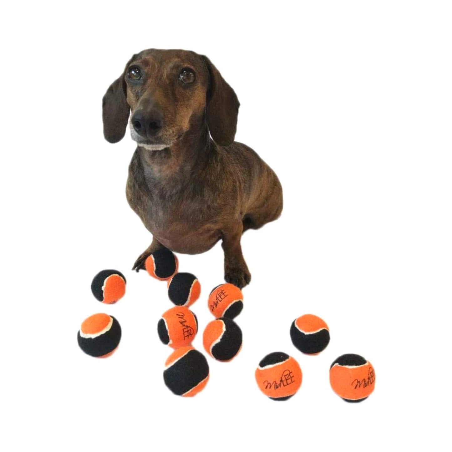 Midlee Orange/Black Mini Dog Halloween Tennis Balls (12pk)