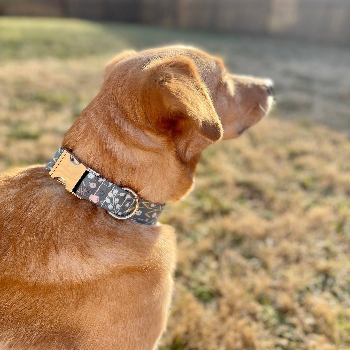 Teal Meadows Dog Collar