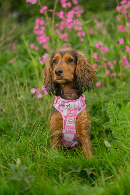 Cowgirl Cutie Adventure Dog Harness