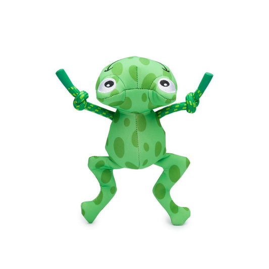 Floatie Frog Pool Dog Toy