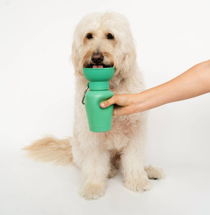Flip Dog Travel Bottle 20oz - Assorted Colors