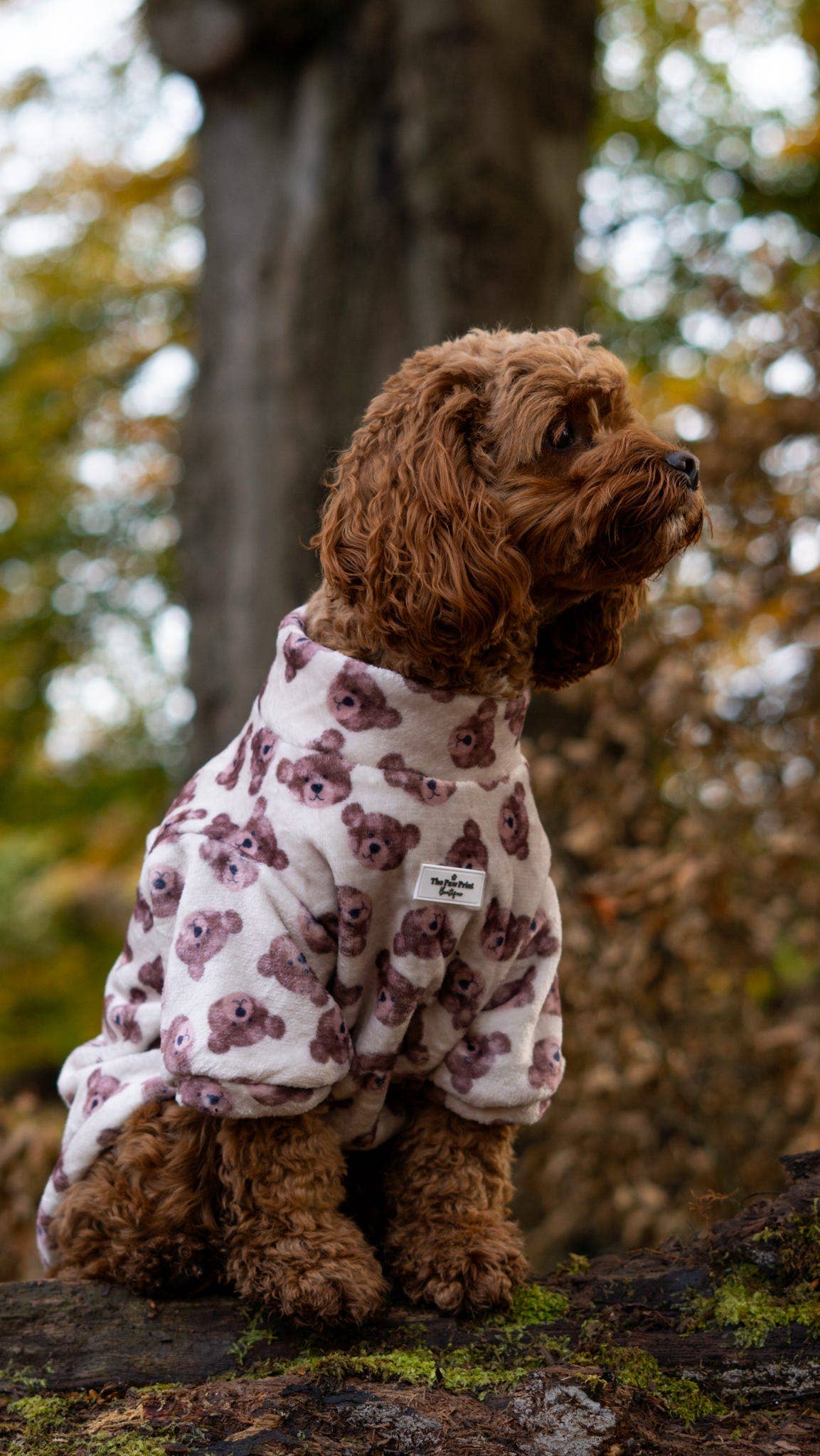 Little Bear Cub Snuggle Fleece