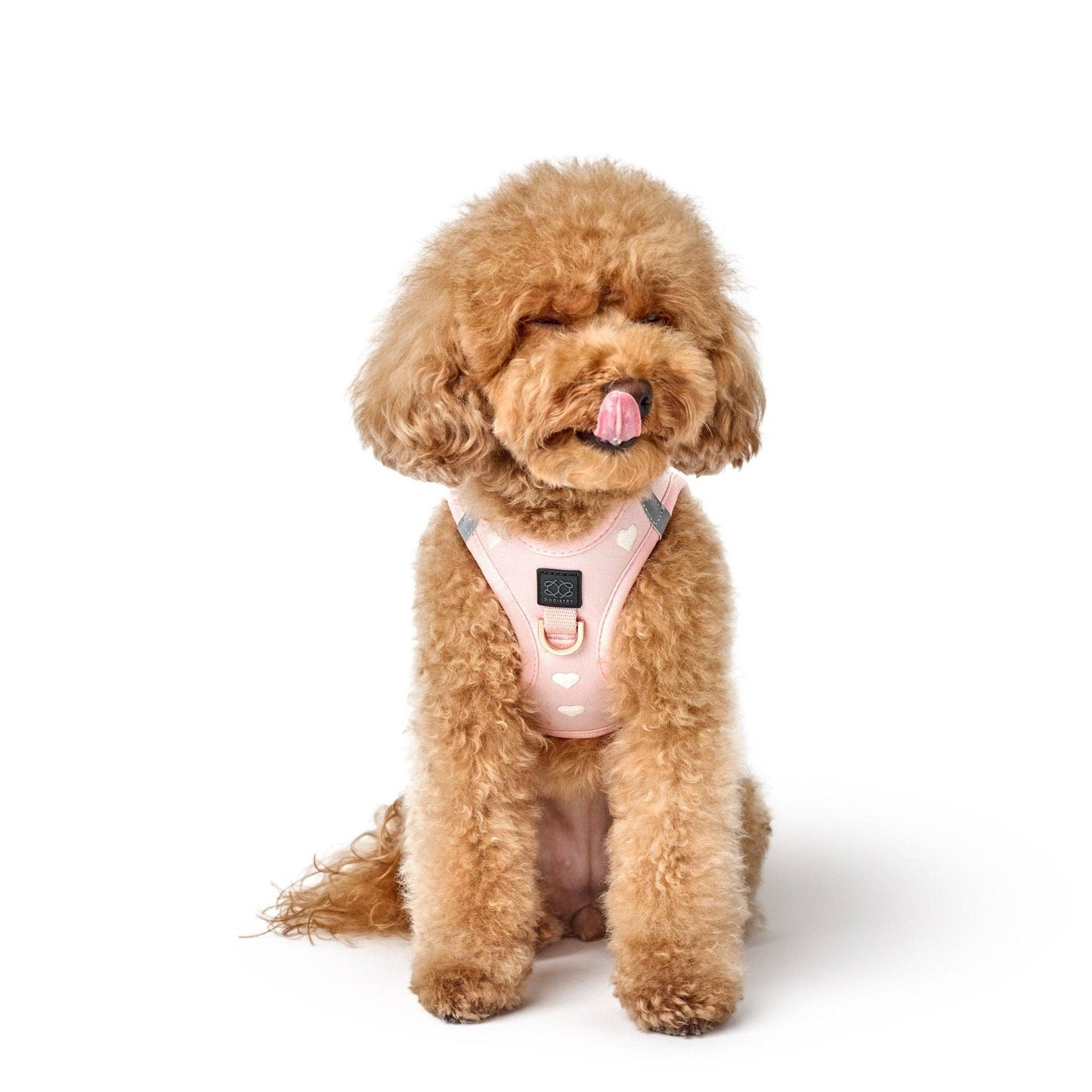 SoHo Dog Harness - Hearts
