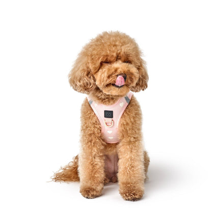 SoHo Dog Harness - Hearts