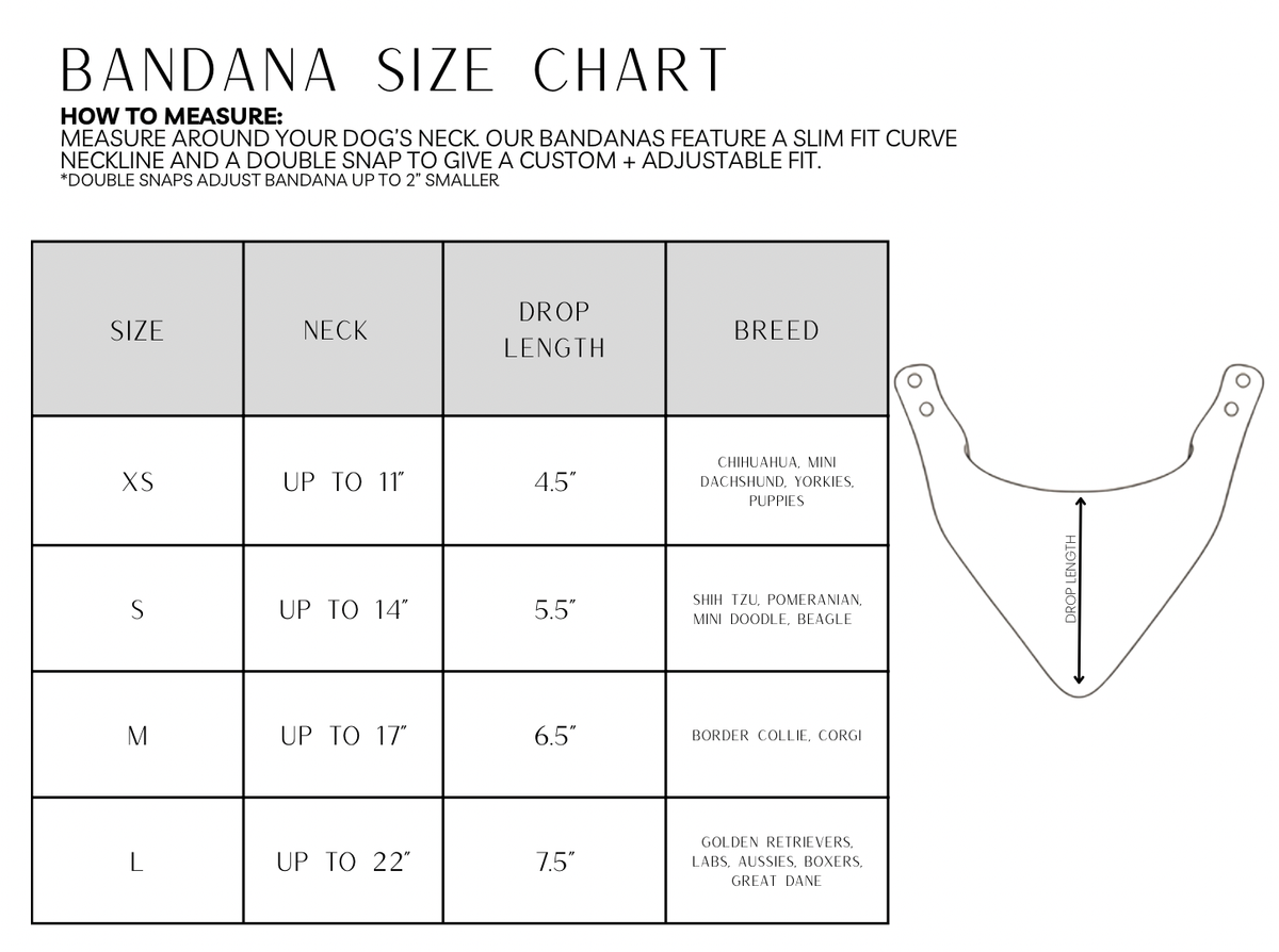 Teddy Bandana with Scalloped Hem