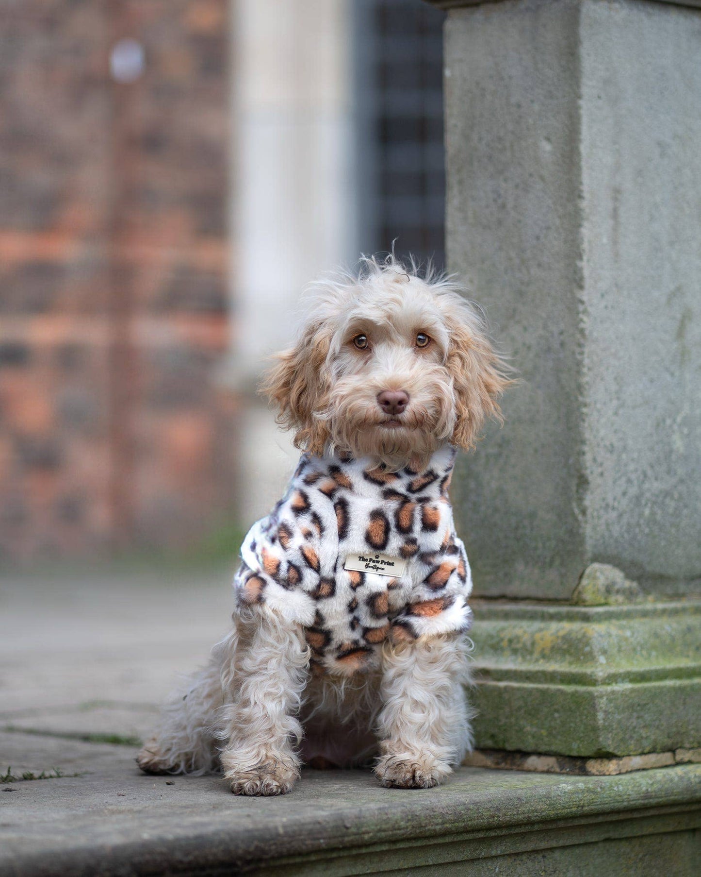 The Leopard Print Fluffy & Fabulous Fleece