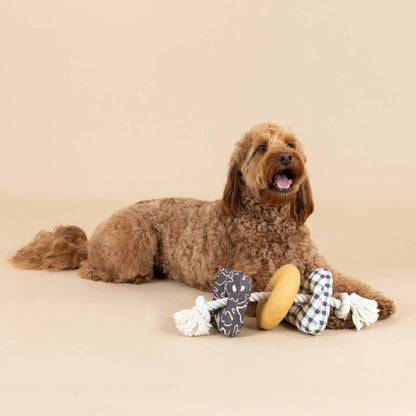 Juguete para perros chirriante de lona con cuerda