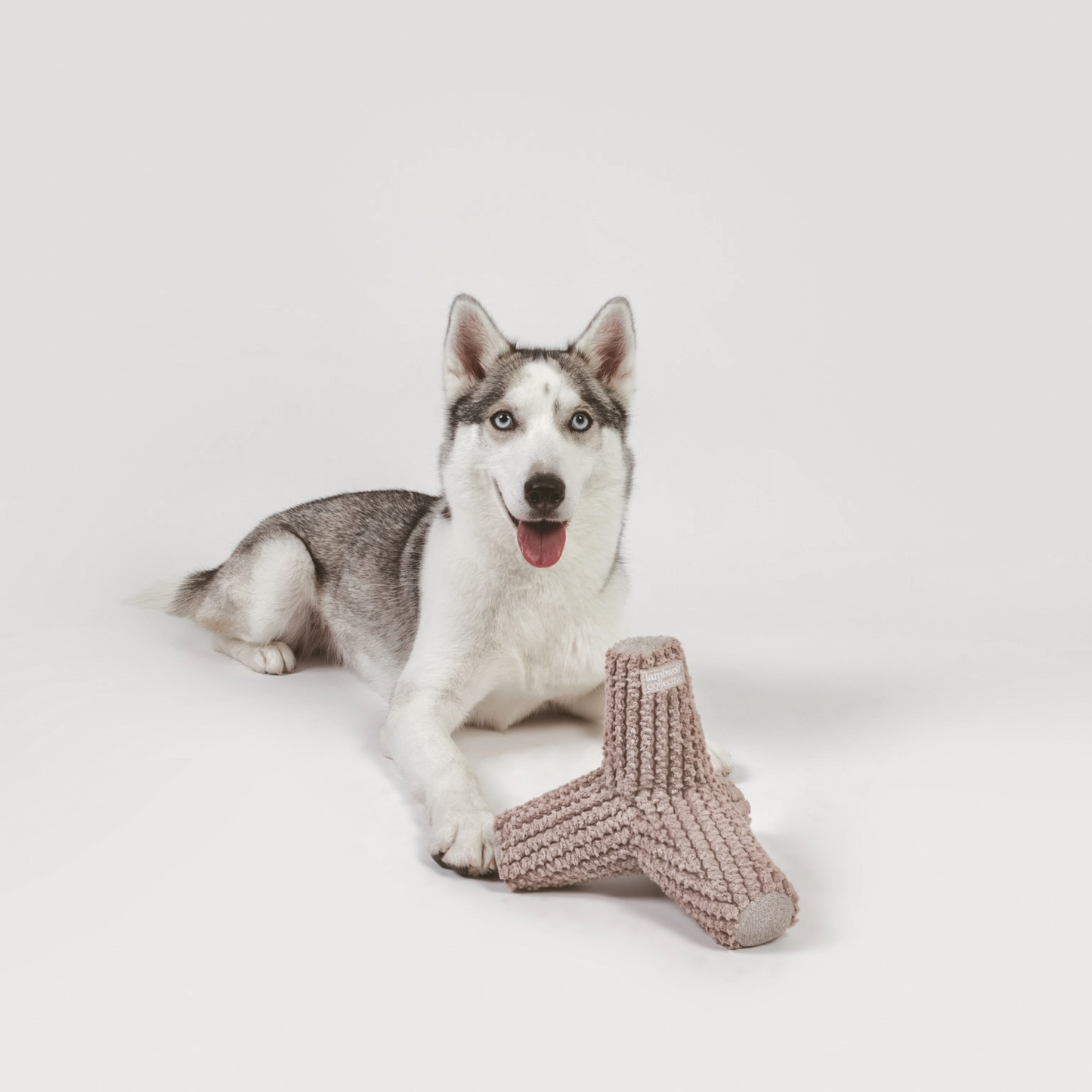 Breuer Enrichment Dog Toy