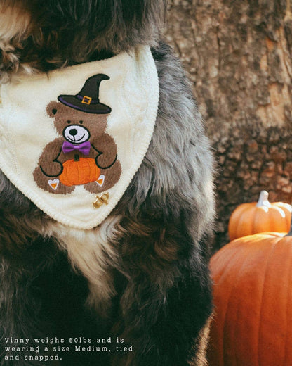 Spooky Teddy Knit Bandana with Scalloped Edge
