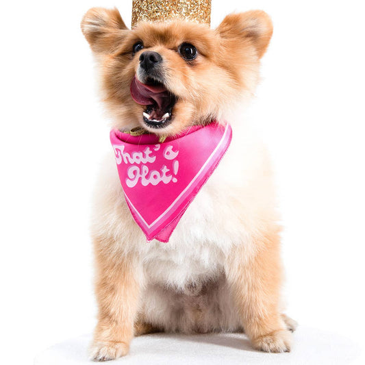 That's Hot Dog Bandana by Moshiqa