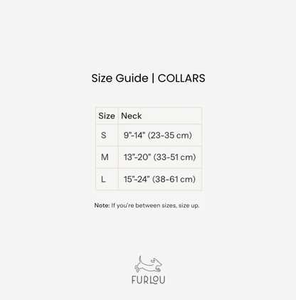 'Magenta' - Velvet Dog Collar