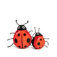 Ladybug faball Dog Toy