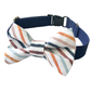 Watercolor Stripe Pet Bowtie