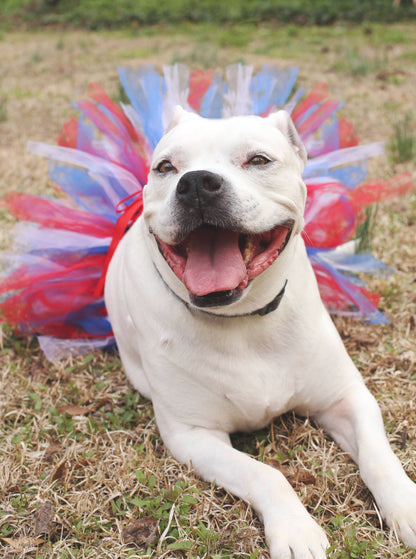 American Flag Dog Tutu/Skirt