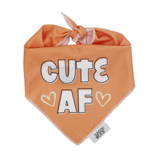 Cute AF - Cooling Dog Bandana