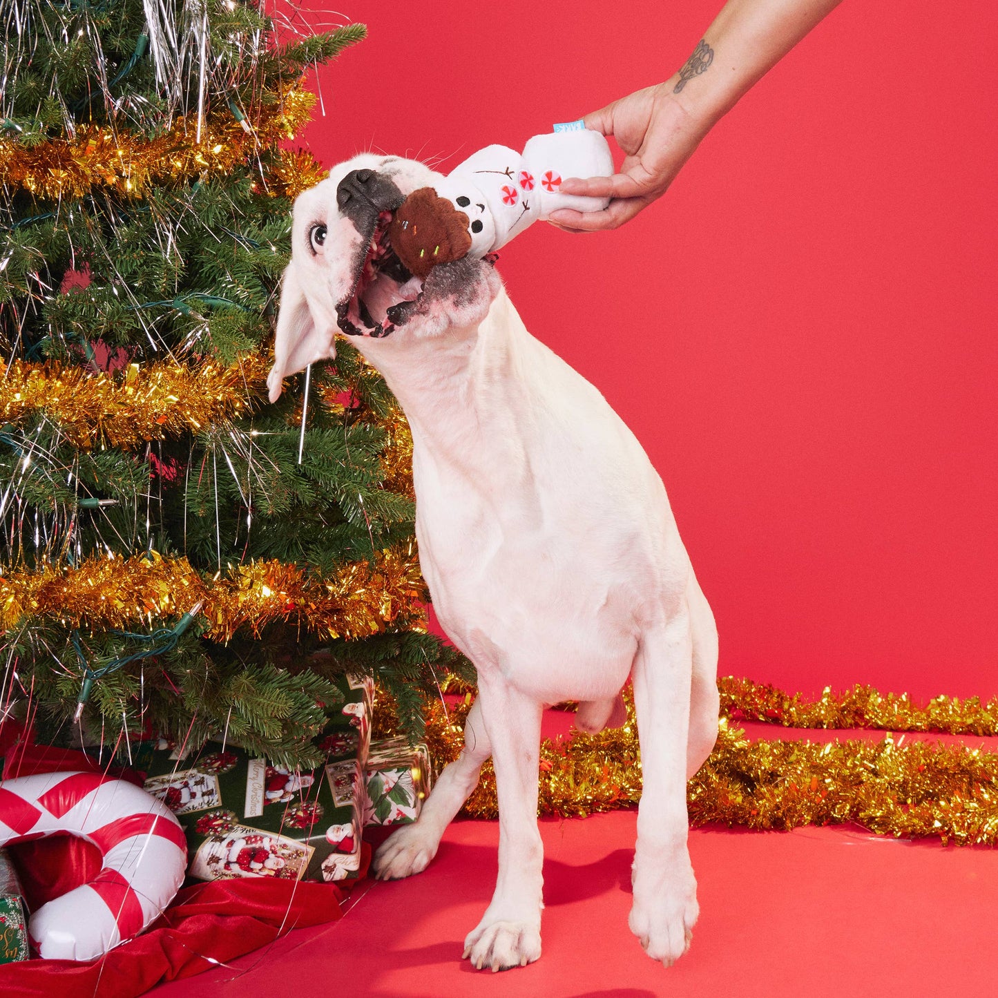 Frosty the S'moreman Dog Toy