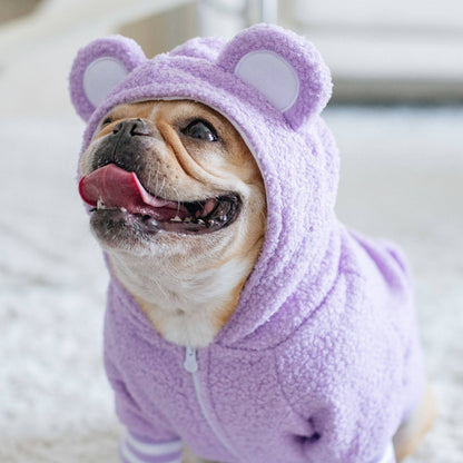 Frenchie Dog Hoodie - Purple Teddy