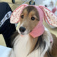 Ozzie - Cute Dog Hat