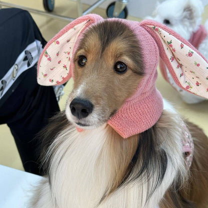 Cute Bunny Ears Dog Hat - Assorted Colors