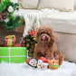 HugSmart Pet - Happy Woofmas Santa - Dog Ball Toy