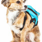 Pet Life ® 'Waggler Hobbler' Large-Pocketed Dog Harness