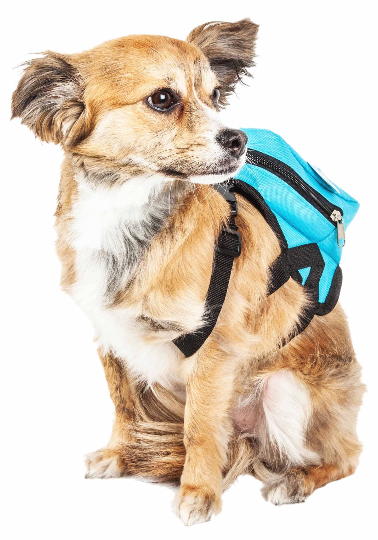 Pet Life ® 'Waggler Hobbler' Large-Pocketed Dog Harness